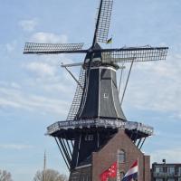 Haarlem Windmill