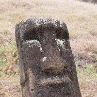 Moai on the quarry hillside
