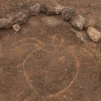 Turtle petroglyph found near Ahu Tongariki