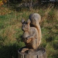 Chainsaw Red Squirrel